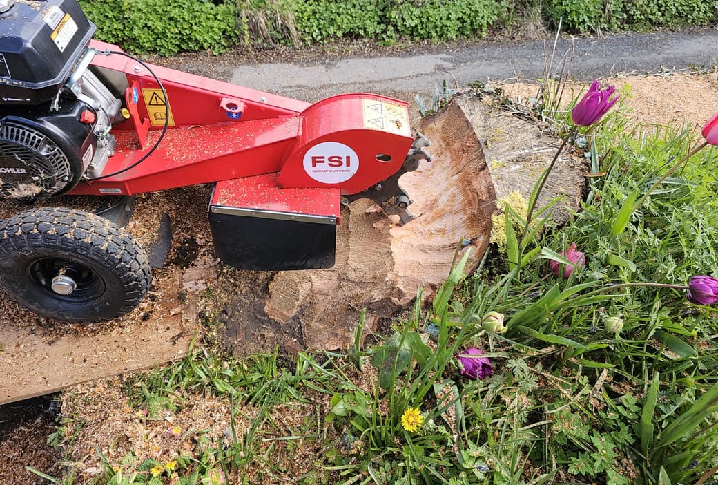 An FSI pedestrian stump grinder cutting into a tree stump in a garden bed, sawdust thrown across the soil
